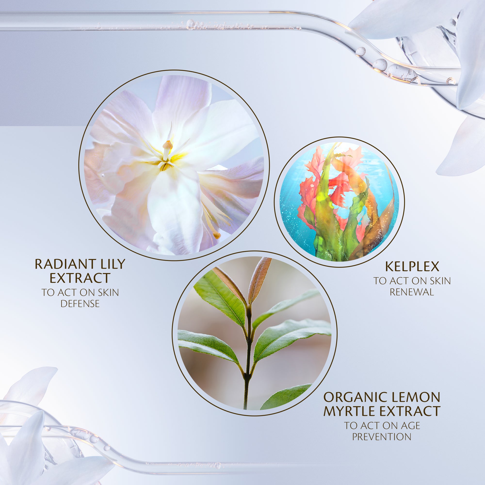 Cle de Peau The Serum siero viso antietà
