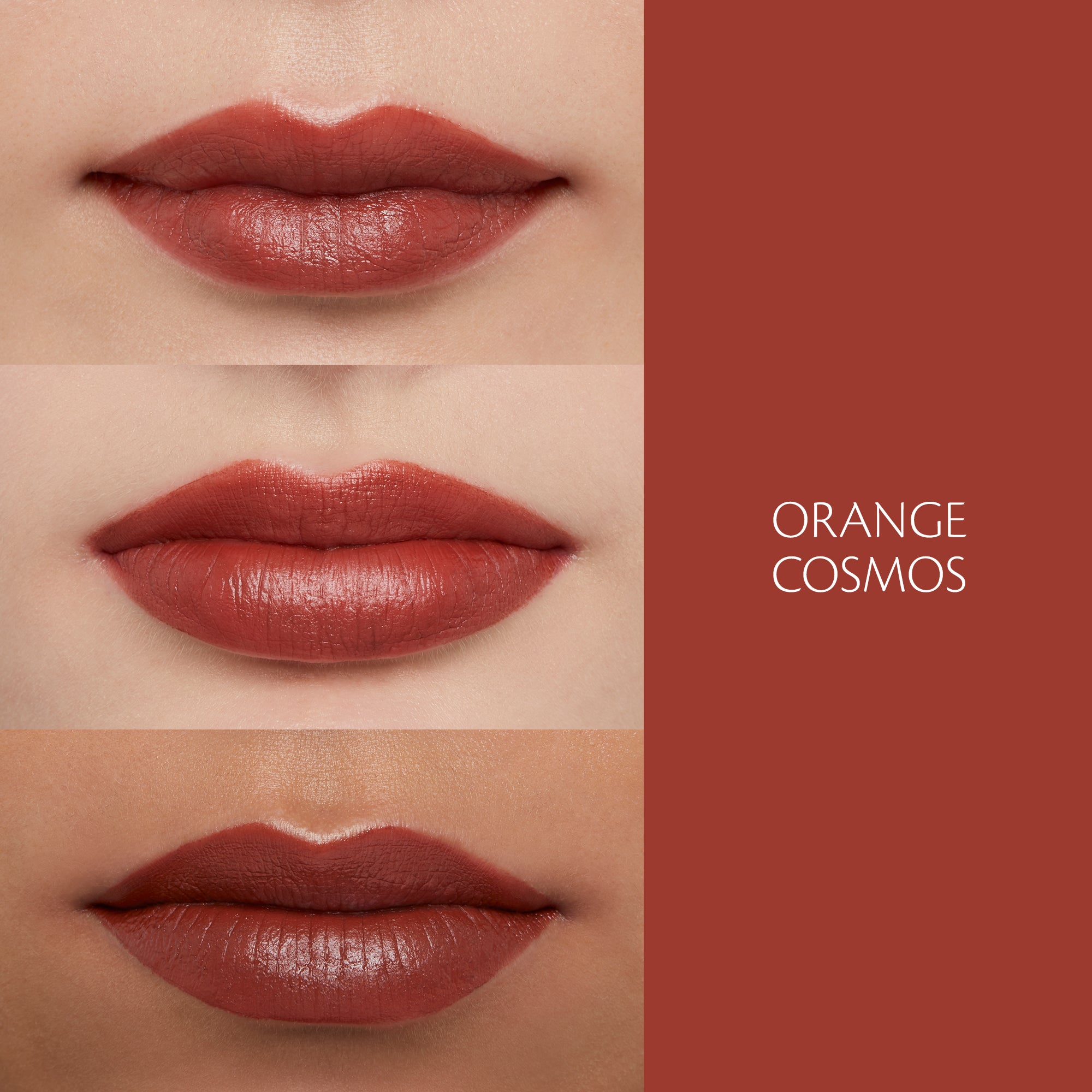 Clé de Peau Beauté Lipstick Matte rossetto Orange Cosmos opaco
